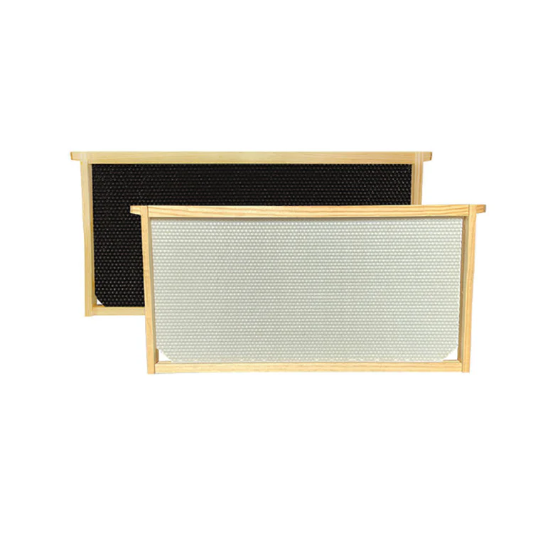 10-Frame Basic Beekeeping Kit - Image 5