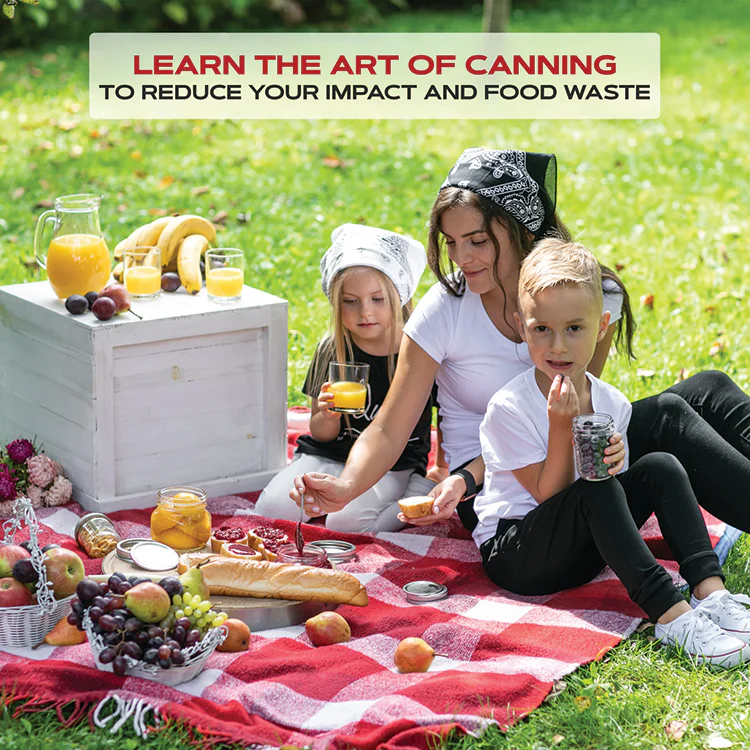 12 Canning Lids & Bands - Image 9
