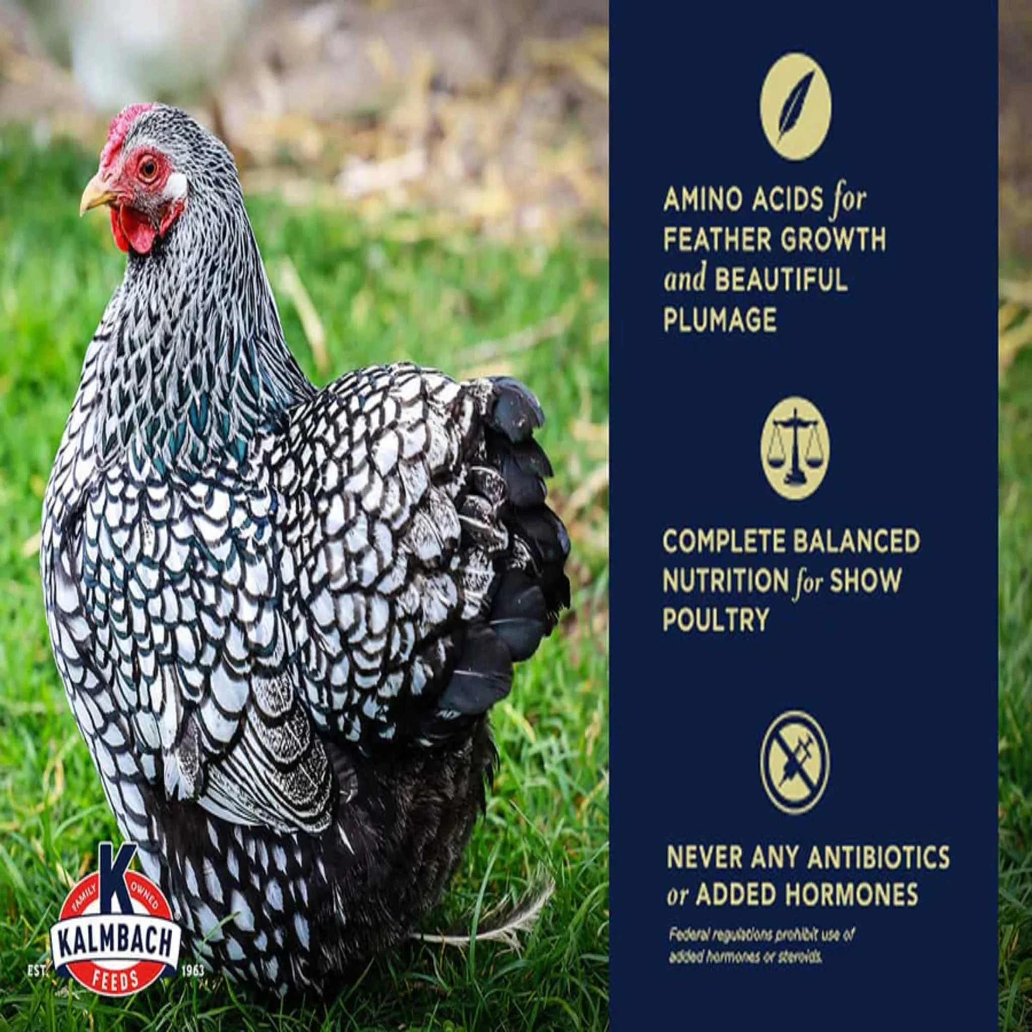 24% Show Bird Poultry & Gamebird Starter Grower - 5 lb - Image 3