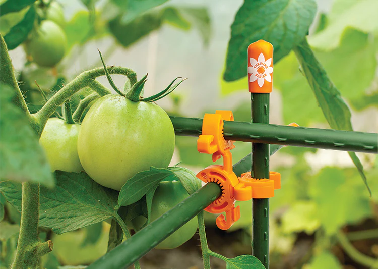5-Foot C-Bite Plant Support Kit - Image 5