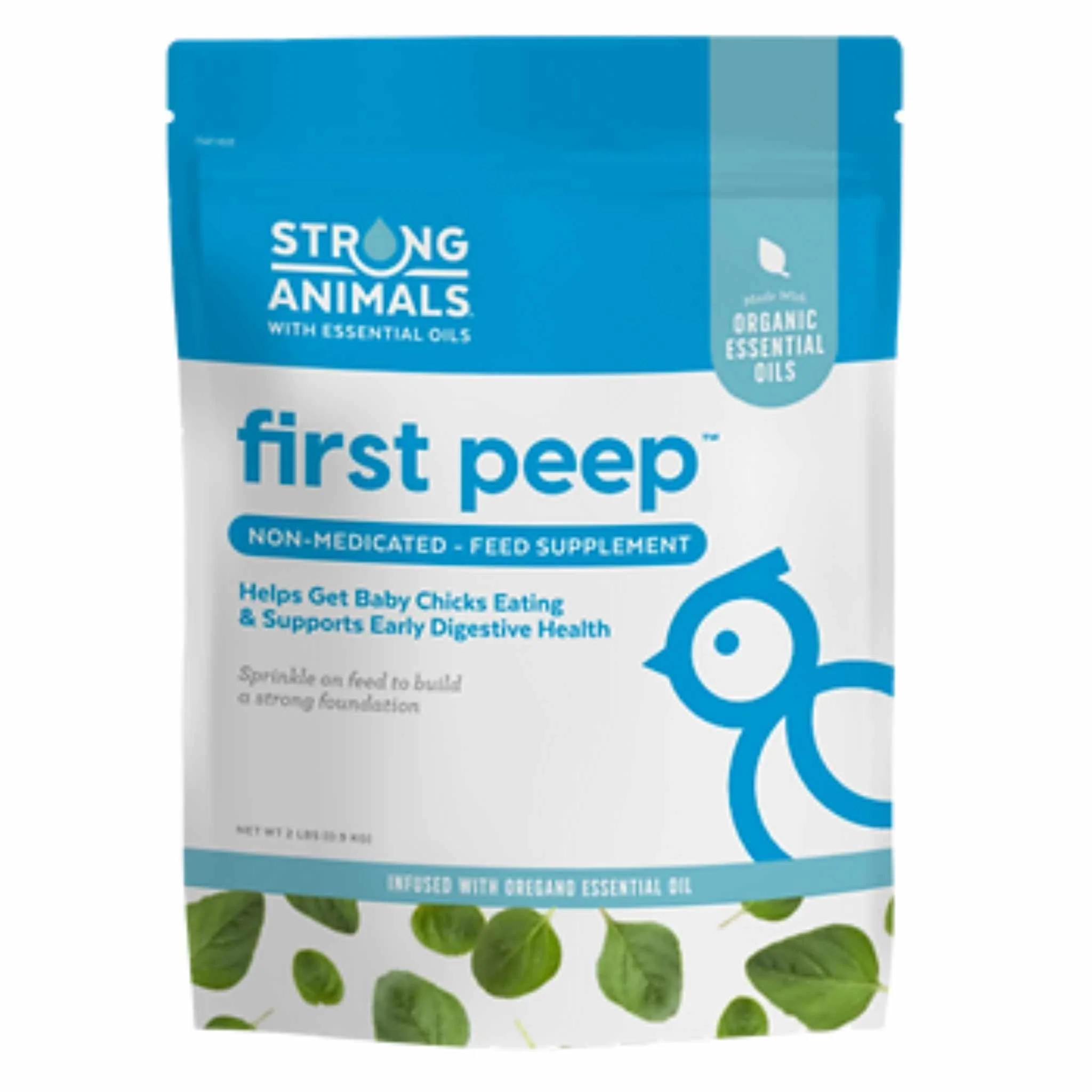 Baby Chick Care Kit - Image 2