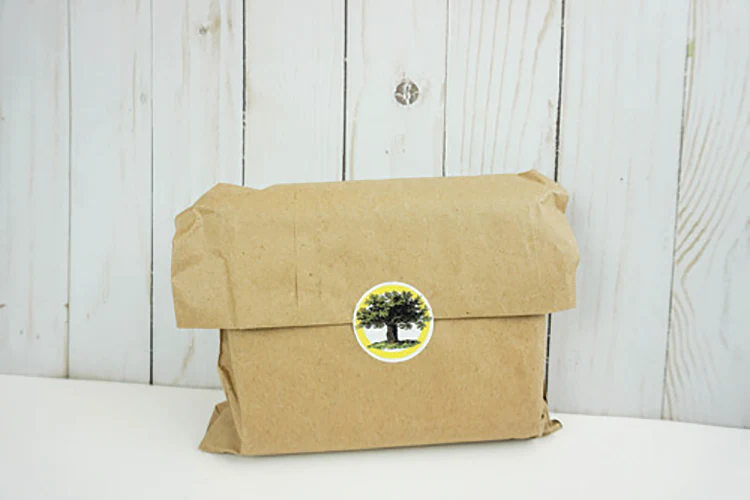 Bee Notecards - Image 4