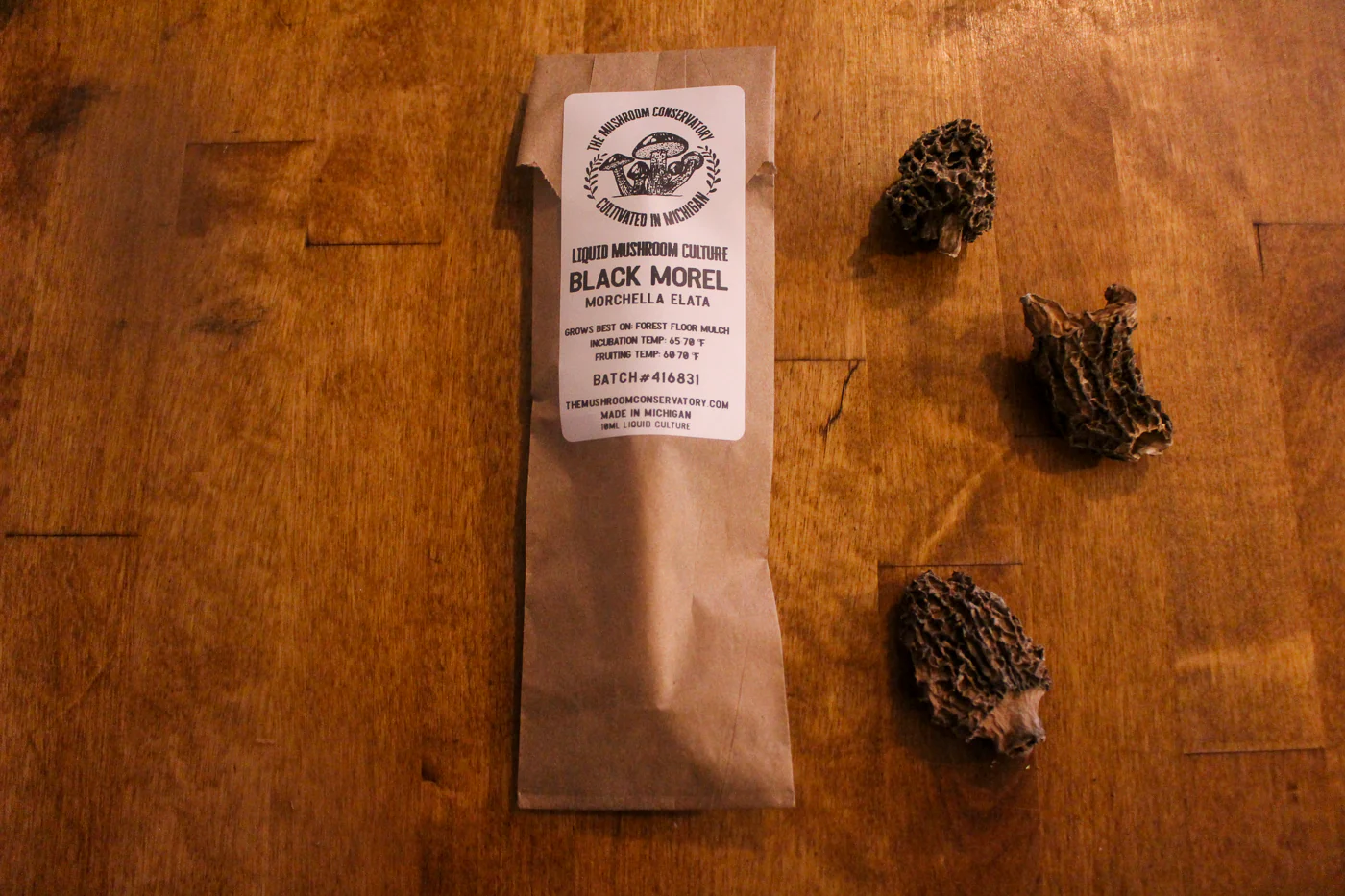 Black Morel Mushroom Culture - 10Ml - Image 3
