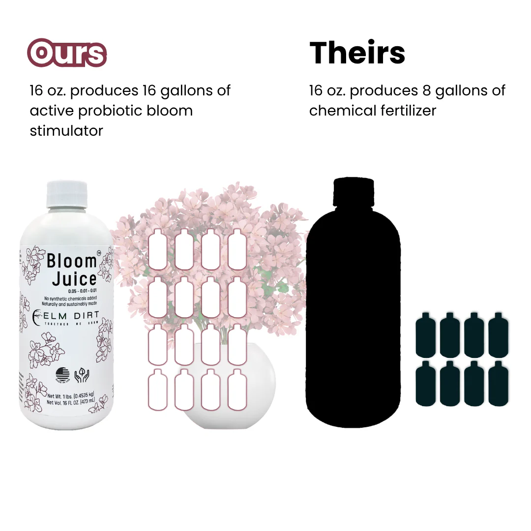 Bloom Juice Award-Winning Formula - Image 5