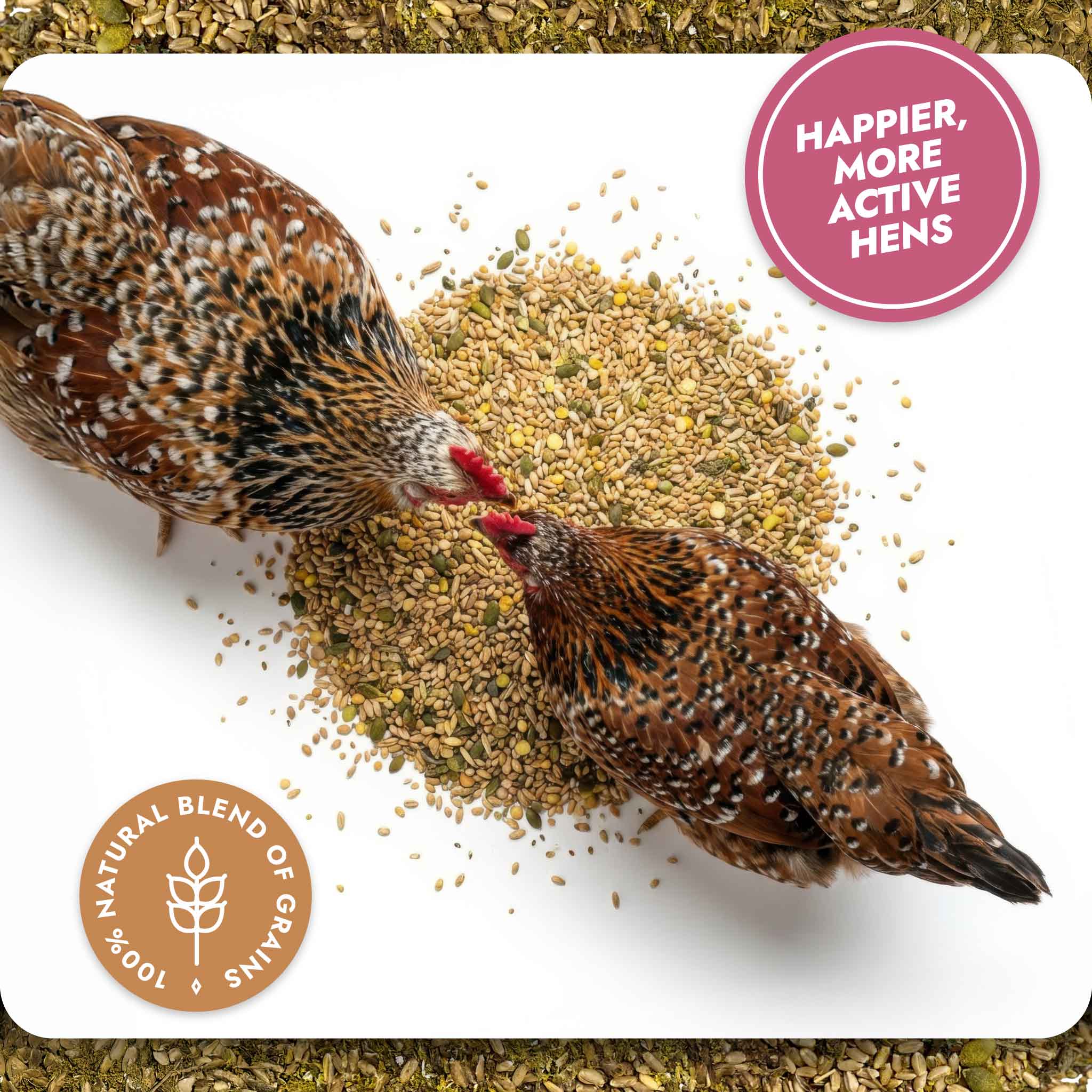 Bone and Mobility - Natural Joint & Bone Support for Chickens - Image 10