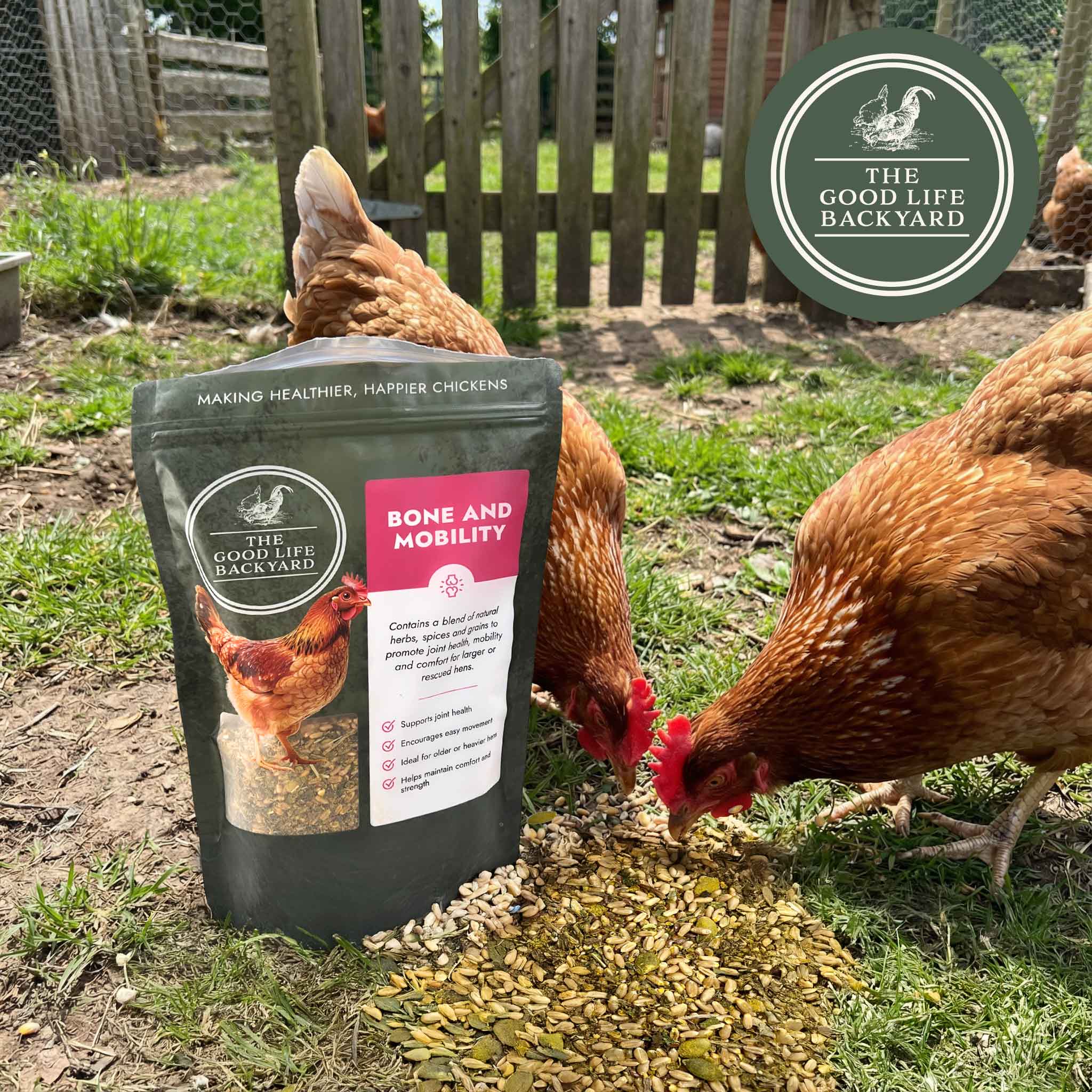 Bone and Mobility - Natural Joint & Bone Support for Chickens - Image 11