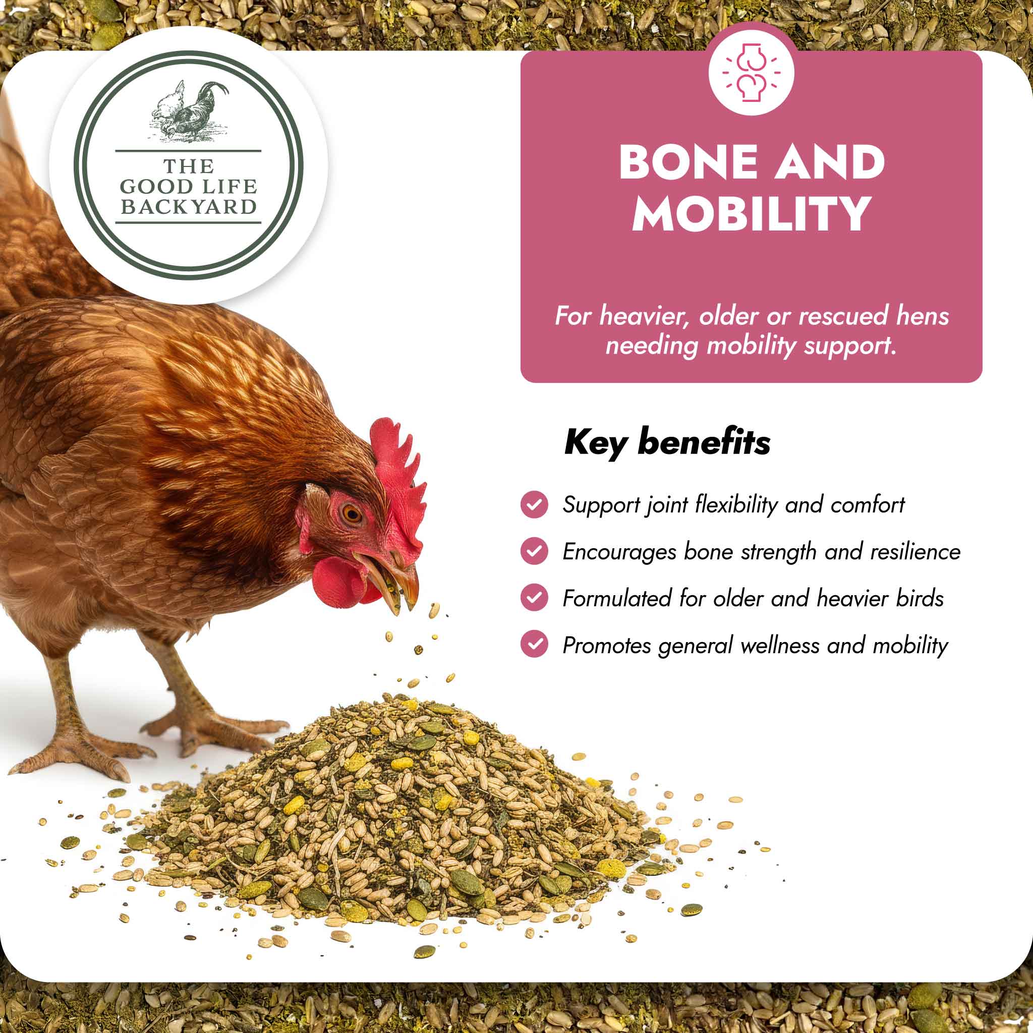 Bone and Mobility - Natural Joint & Bone Support for Chickens - Image 4