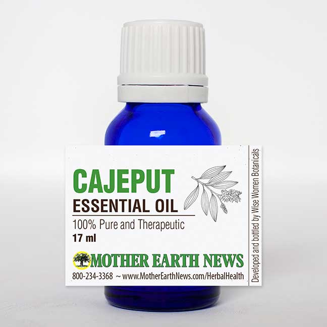 Cajeput Essential Oil - Image 2