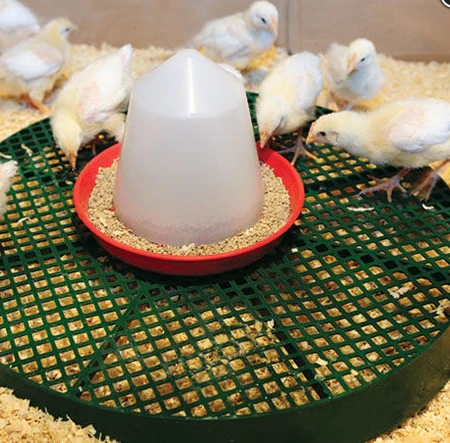 Chick Stand - Image 4