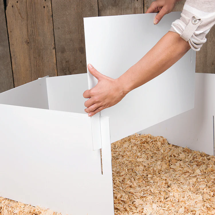Chicken Brooder Kit With Heat Lamp - Image 5