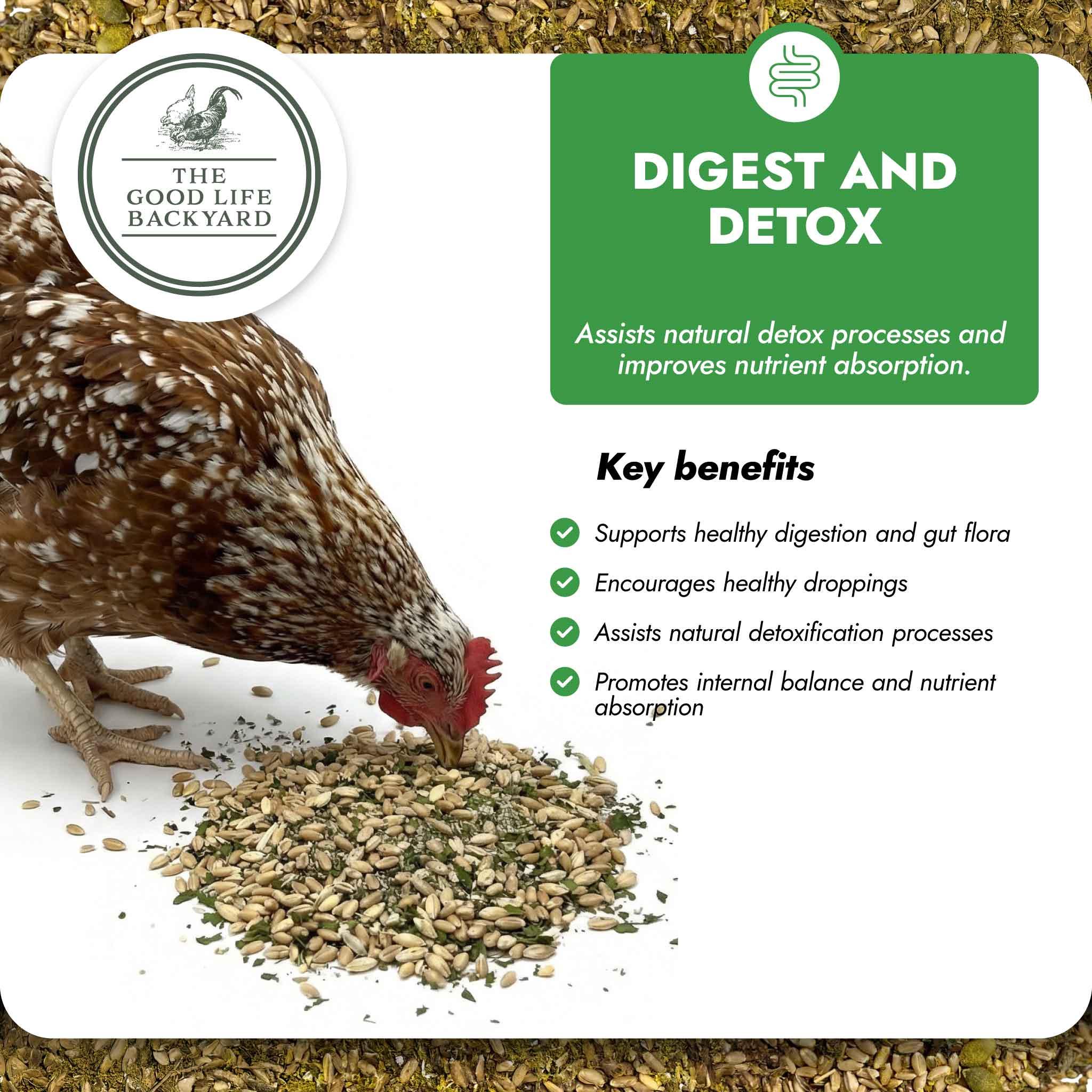 Digest & Detox - Gut Health Blend- - Image 4