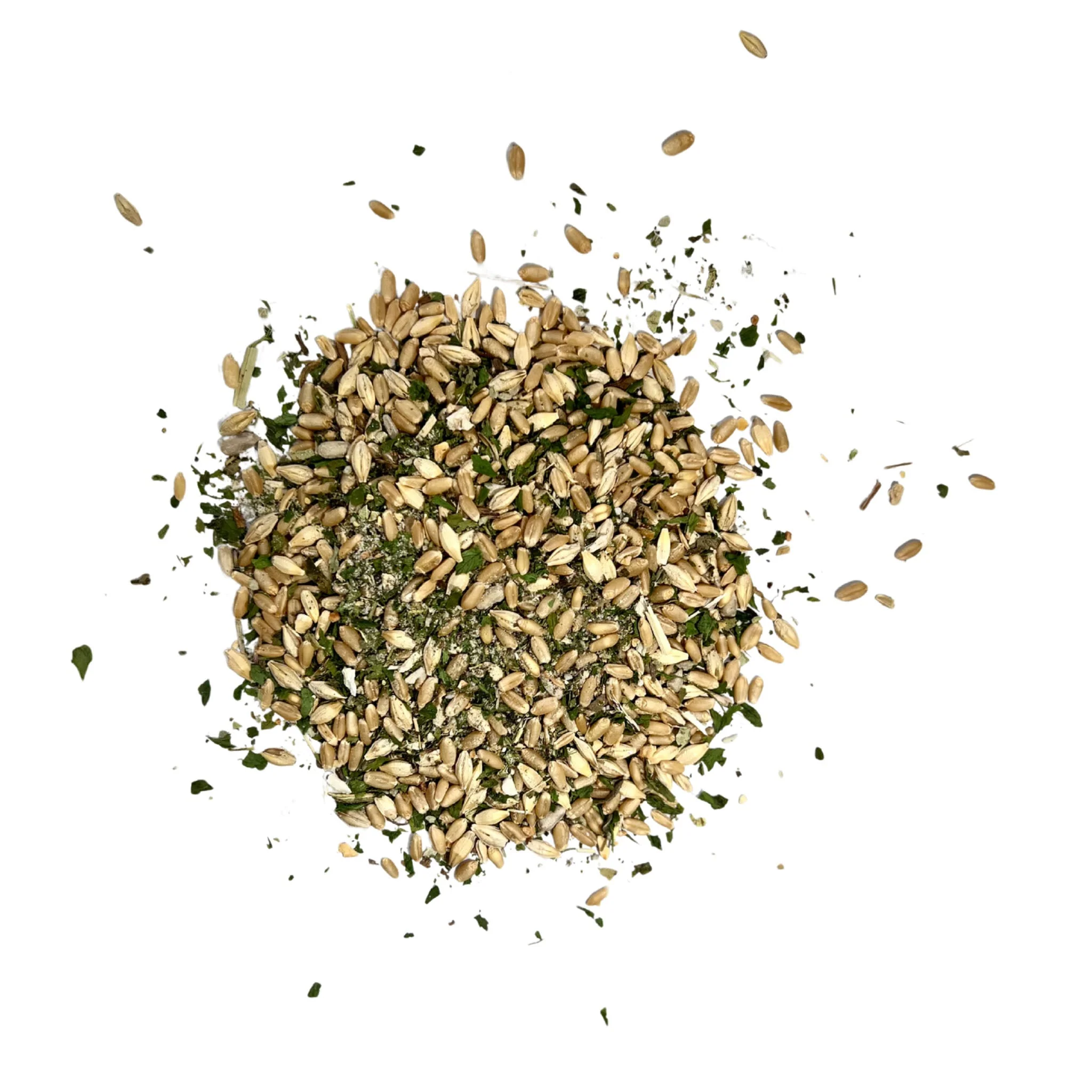 Digest & Detox - Gut Health Blend- - Image 9