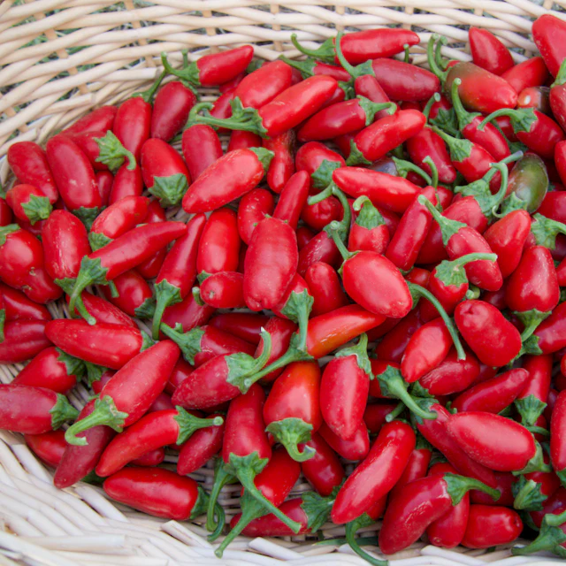 Early Jalapeño Peppers - Image 2