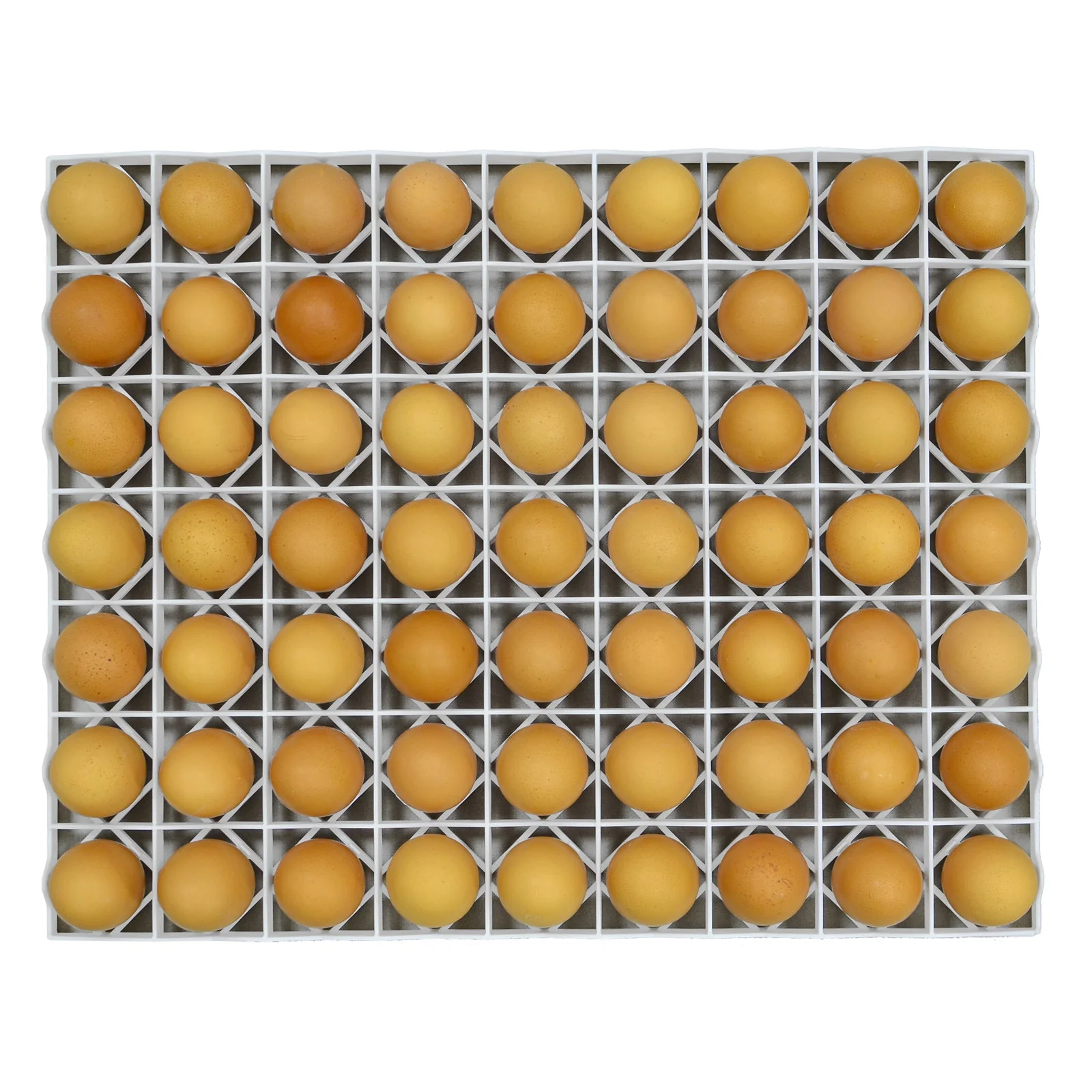 Egg Setter Tray - Chicken - 80 Eggs - Image 4