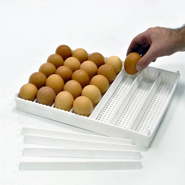 Egg Setter Tray (Flexy35Y) - Image 2