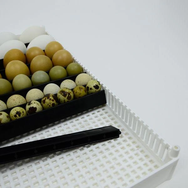 Egg Setter Tray (Flexy80ST) - Image 3