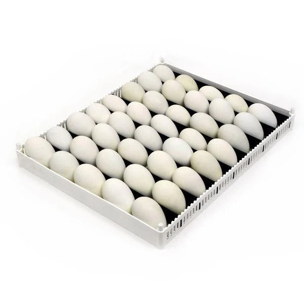 Egg Setter Tray (Flexy80ST) - Image 4