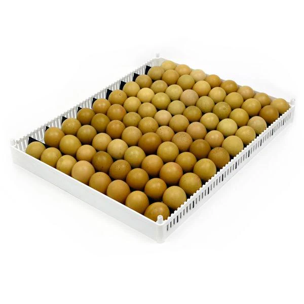 Egg Setter Tray (Flexy80ST) - Image 5
