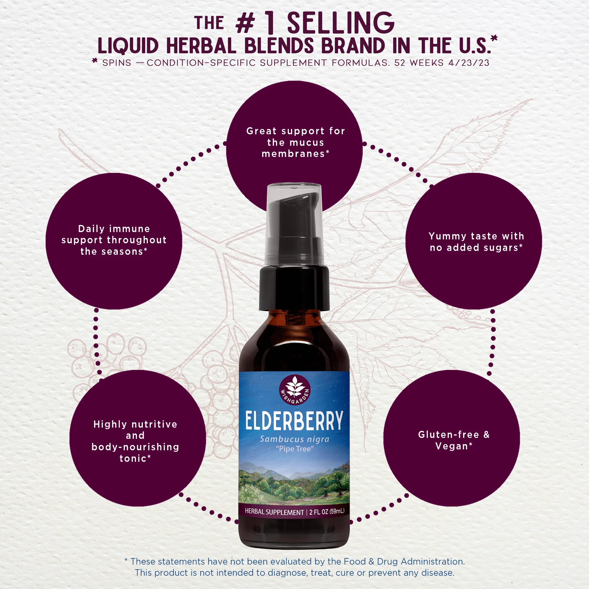 Elderberry - Image 4