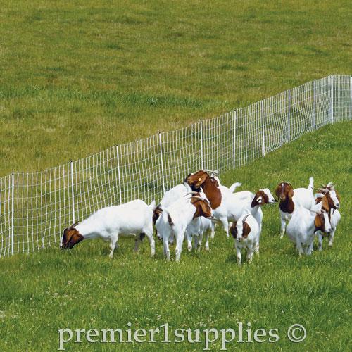 ElectroStop Plus 10/42/12 Starter Kit (Black/White) - Image 4