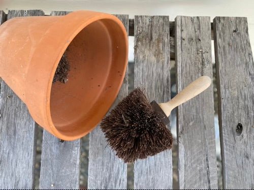 Flower Pot Brush - Made in Germany - Image 7