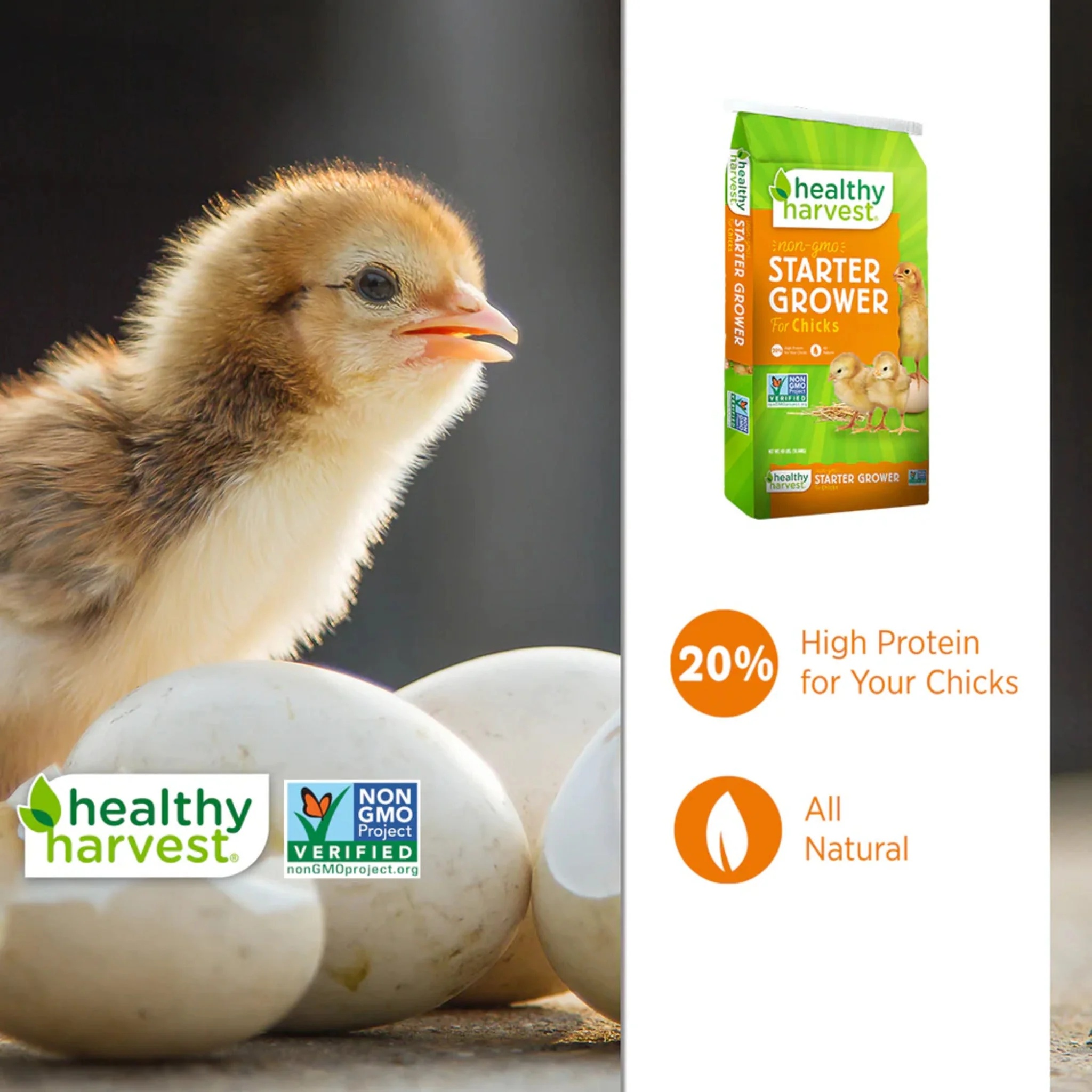 Healthy Harvest 20% Non-GMO Chick Starter/Grower - Image 9