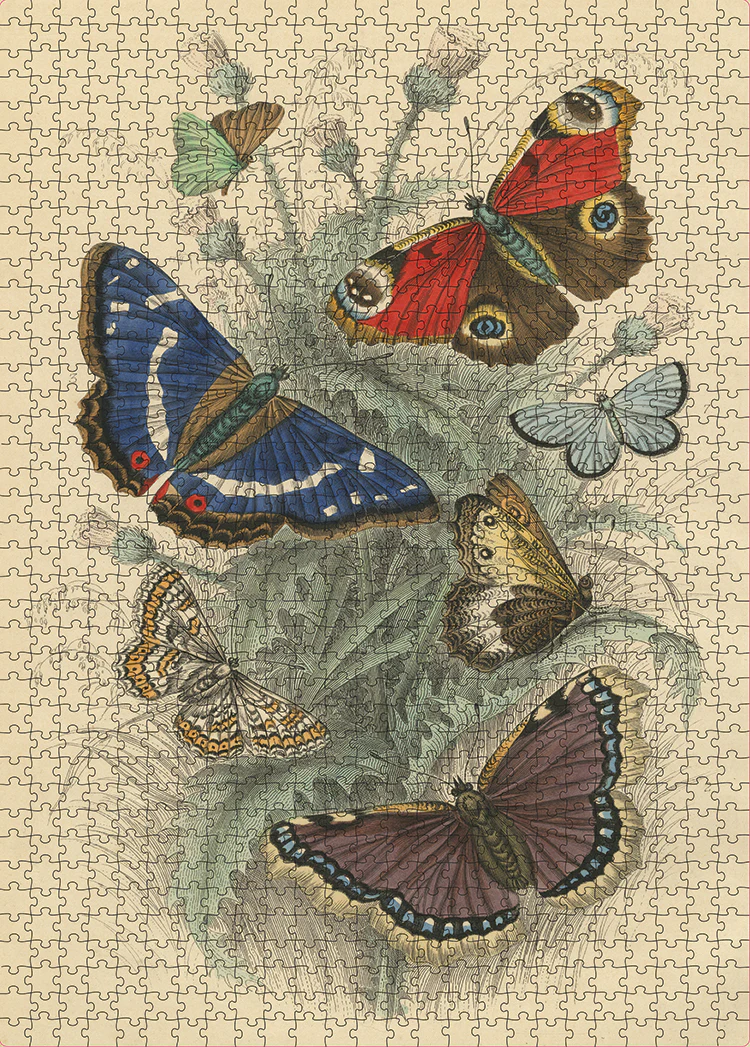 John Derian Dancing Butterflies Puzzle - Image 2