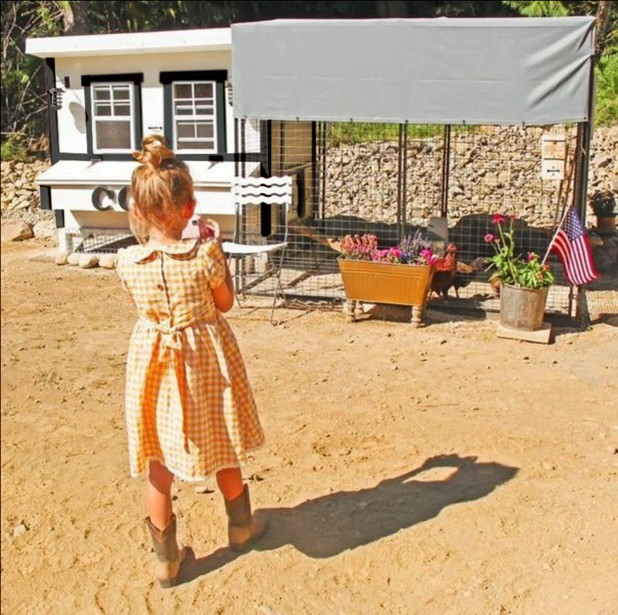Large Chicken Coop - Up to 15 Chickens - Image 8