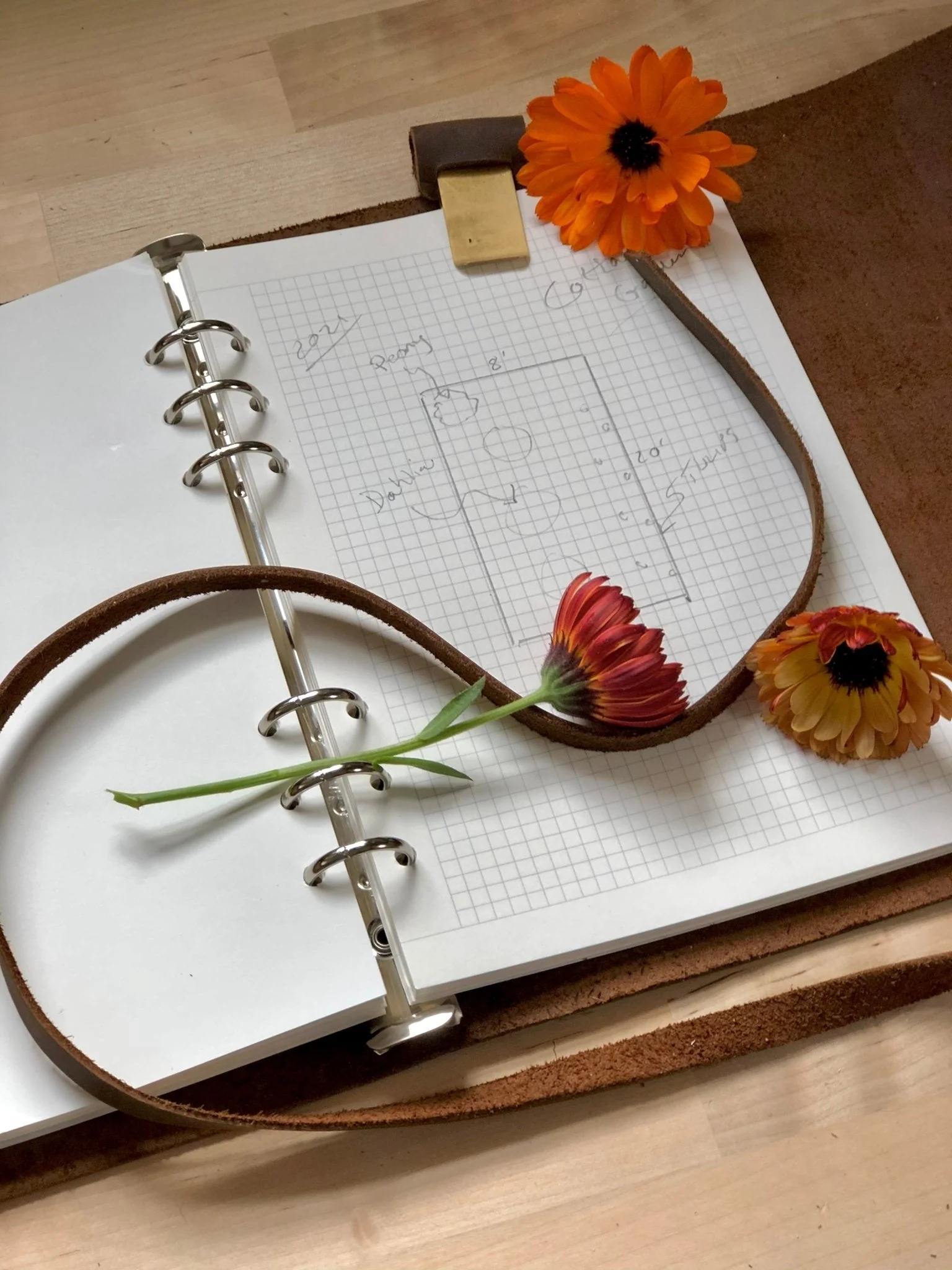 Leather Garden Journal and Diary - A Notebook for Garden Thoughts, Planning and Design - Image 3