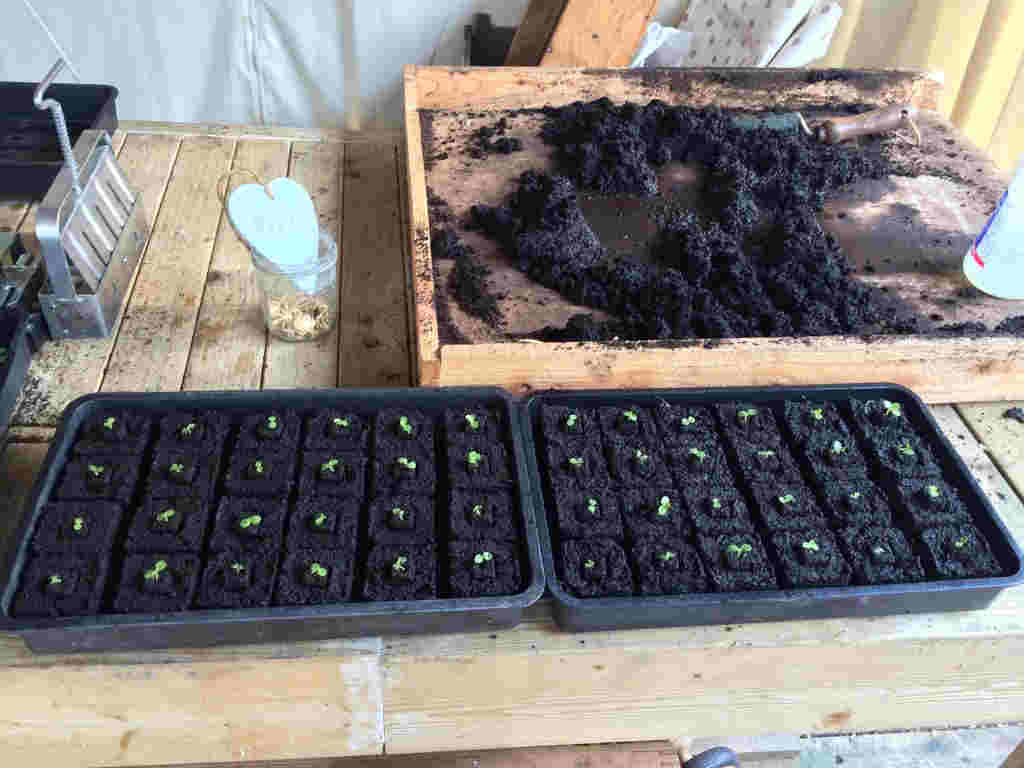 Micro 20 Soil Blocker - Image 3