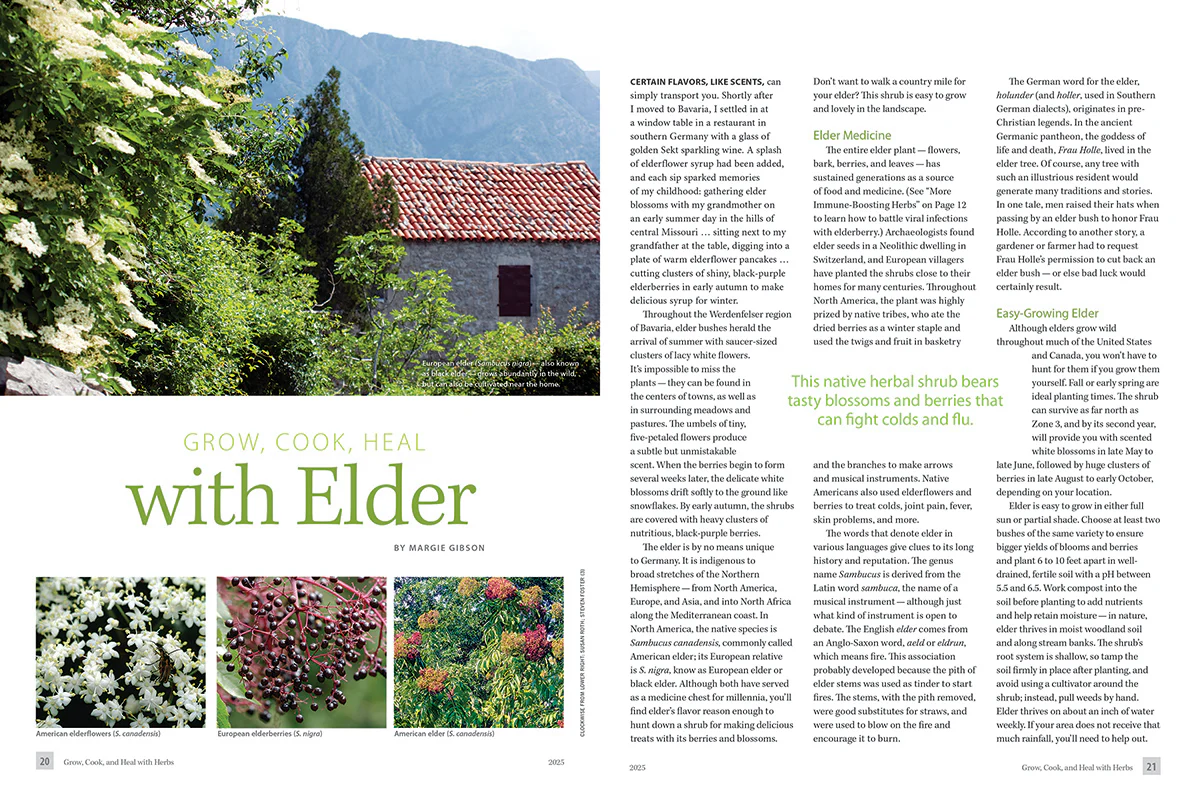 Mother Earth Living — Grow, Cook, & Heal with Herbs - Image 3