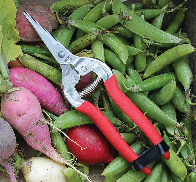 Needle Nose Garden Shears - Image 2