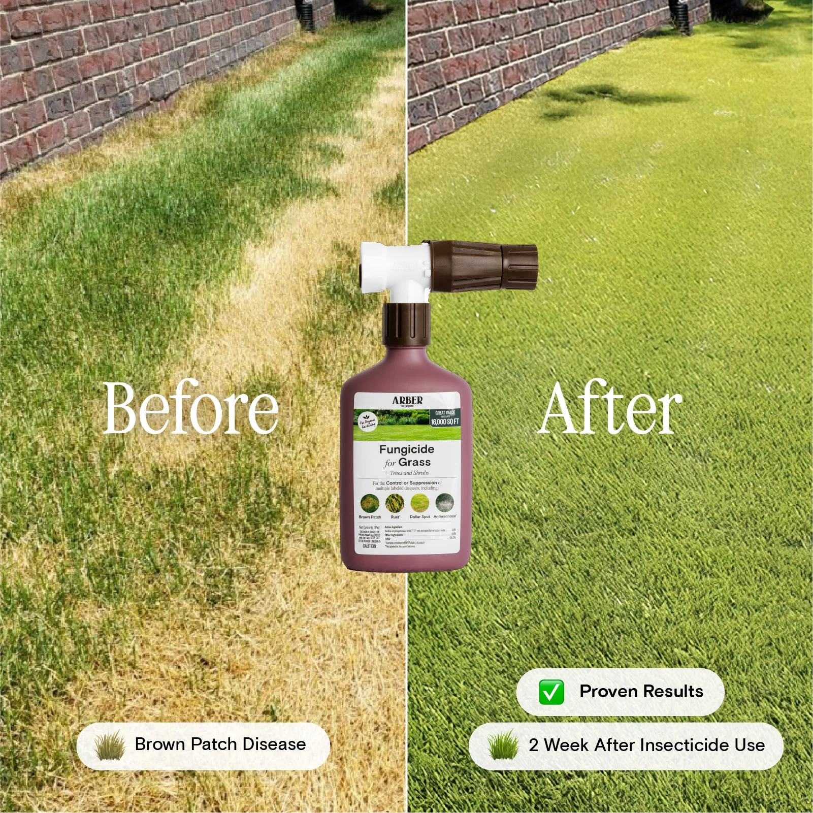 Organic Fungicide for Grass, Trees & Shrubs - Image 3