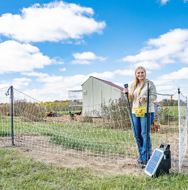 PoultryNet® Gate - Image 3