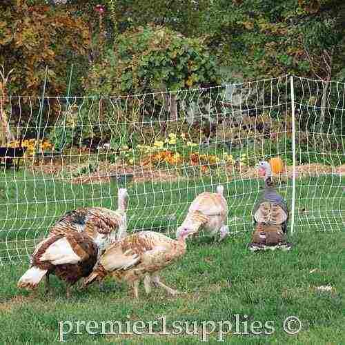 PoultryNet Plus 12/48/3 Starter Kit (Green/Black) - Image 4