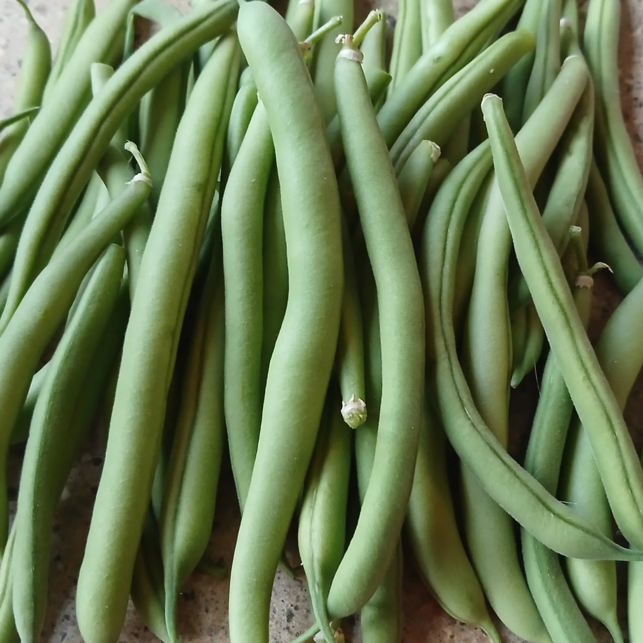 Provider Bean