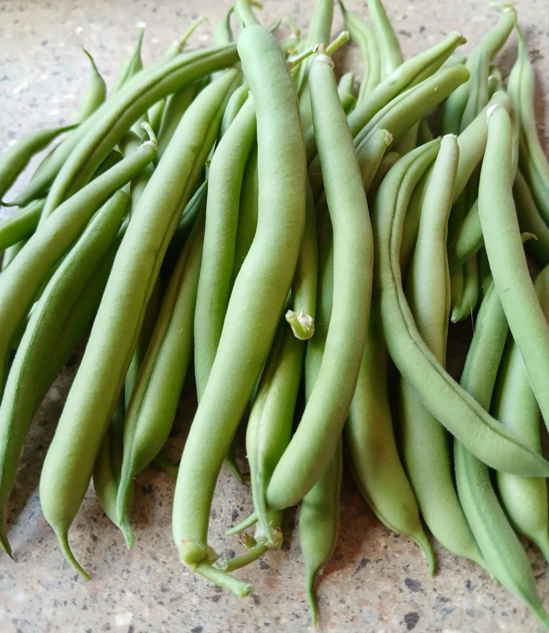 Provider Bean - Image 2