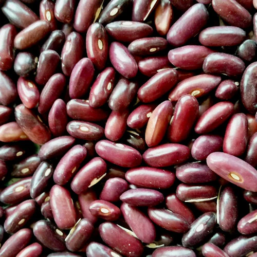 Provider Bean - Image 3