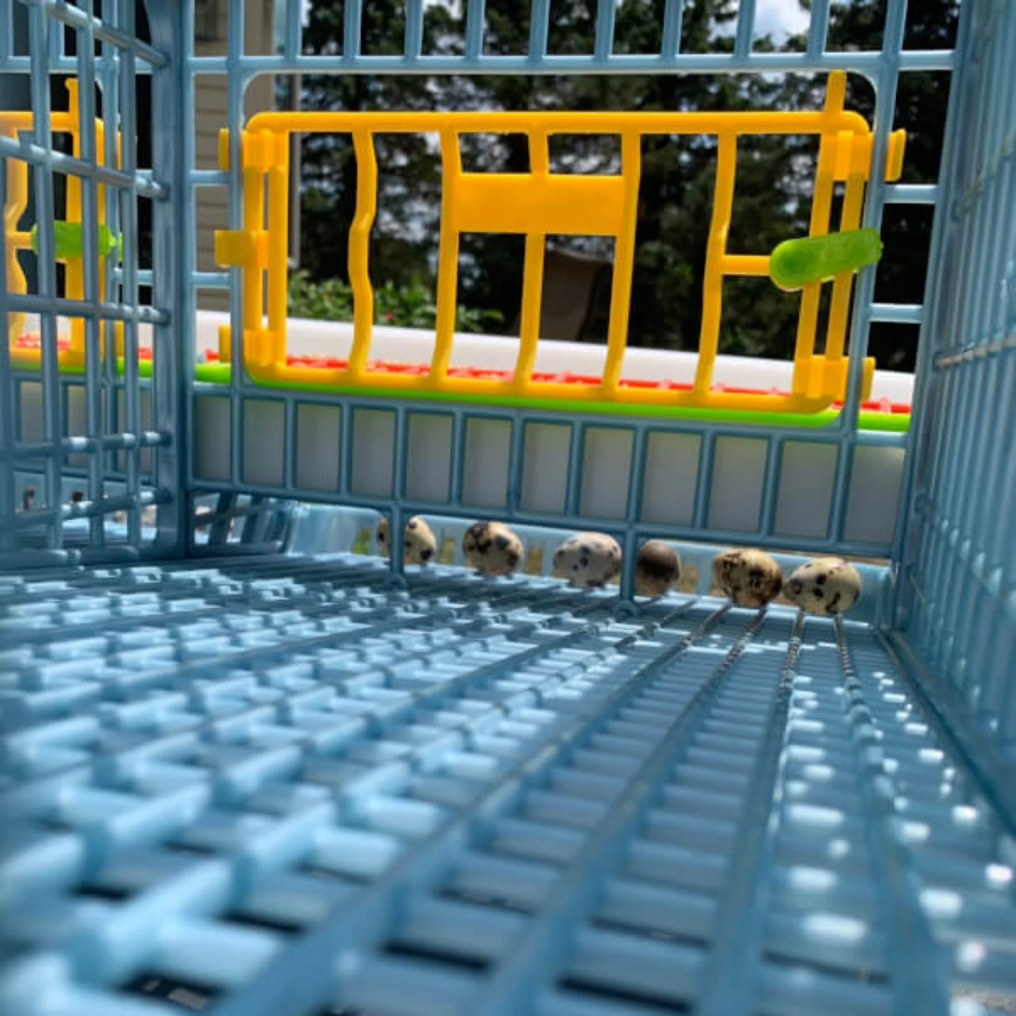 Quail Cage - 5 Layer - Image 10