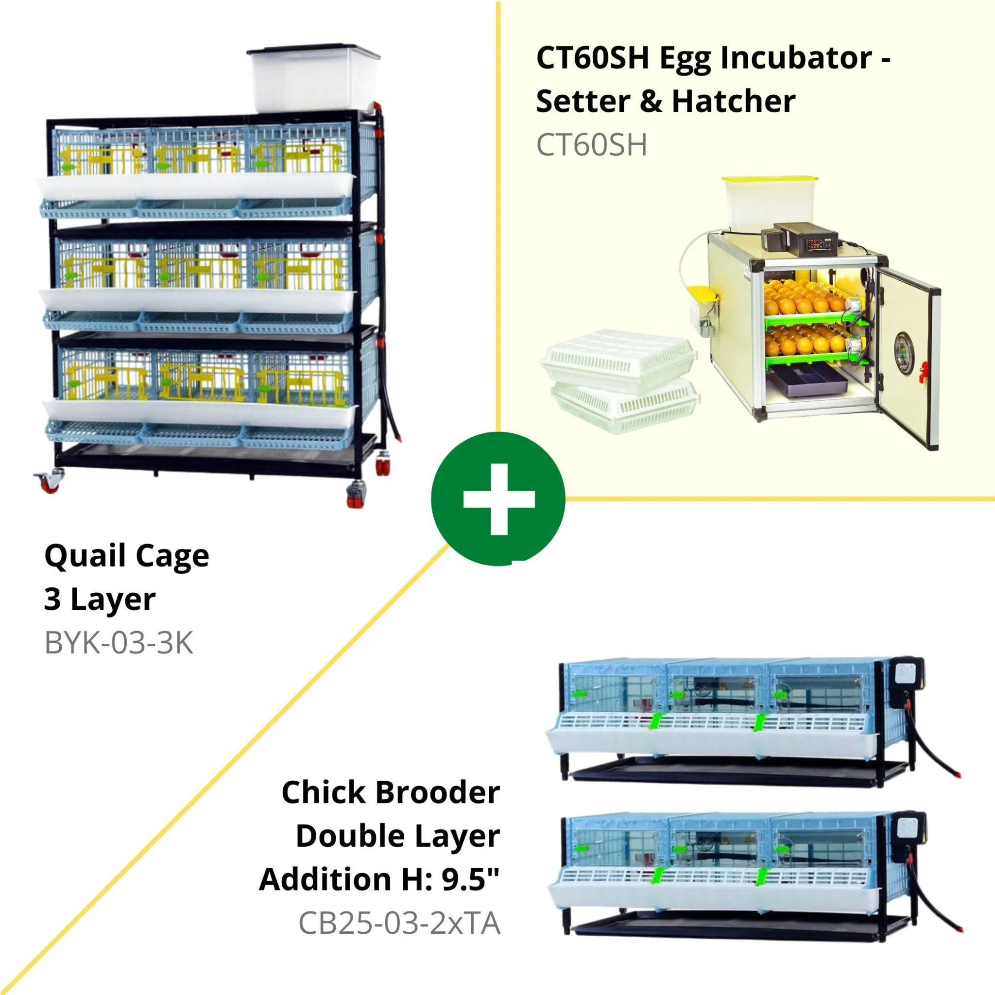 Quail Semi-Pro Kit - Image 3