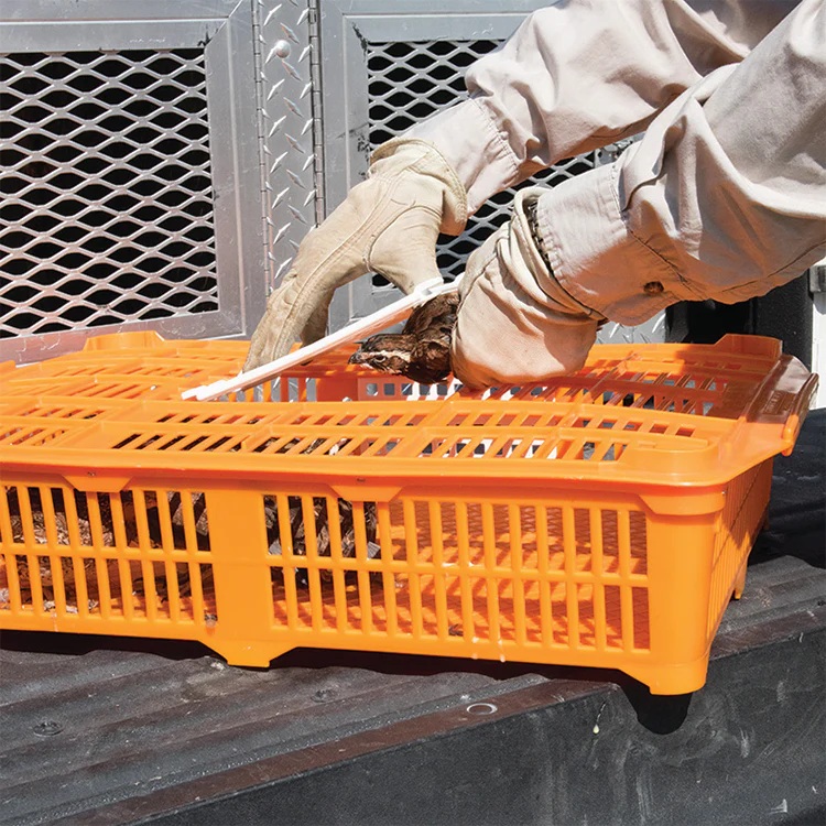 Quailcrate - Image 3