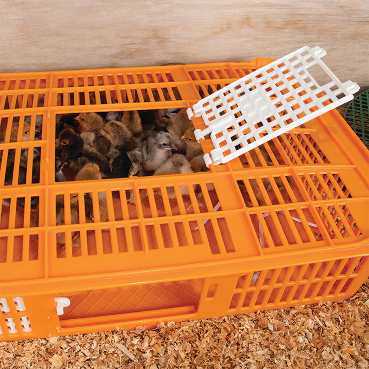 Quailcrate - Image 5