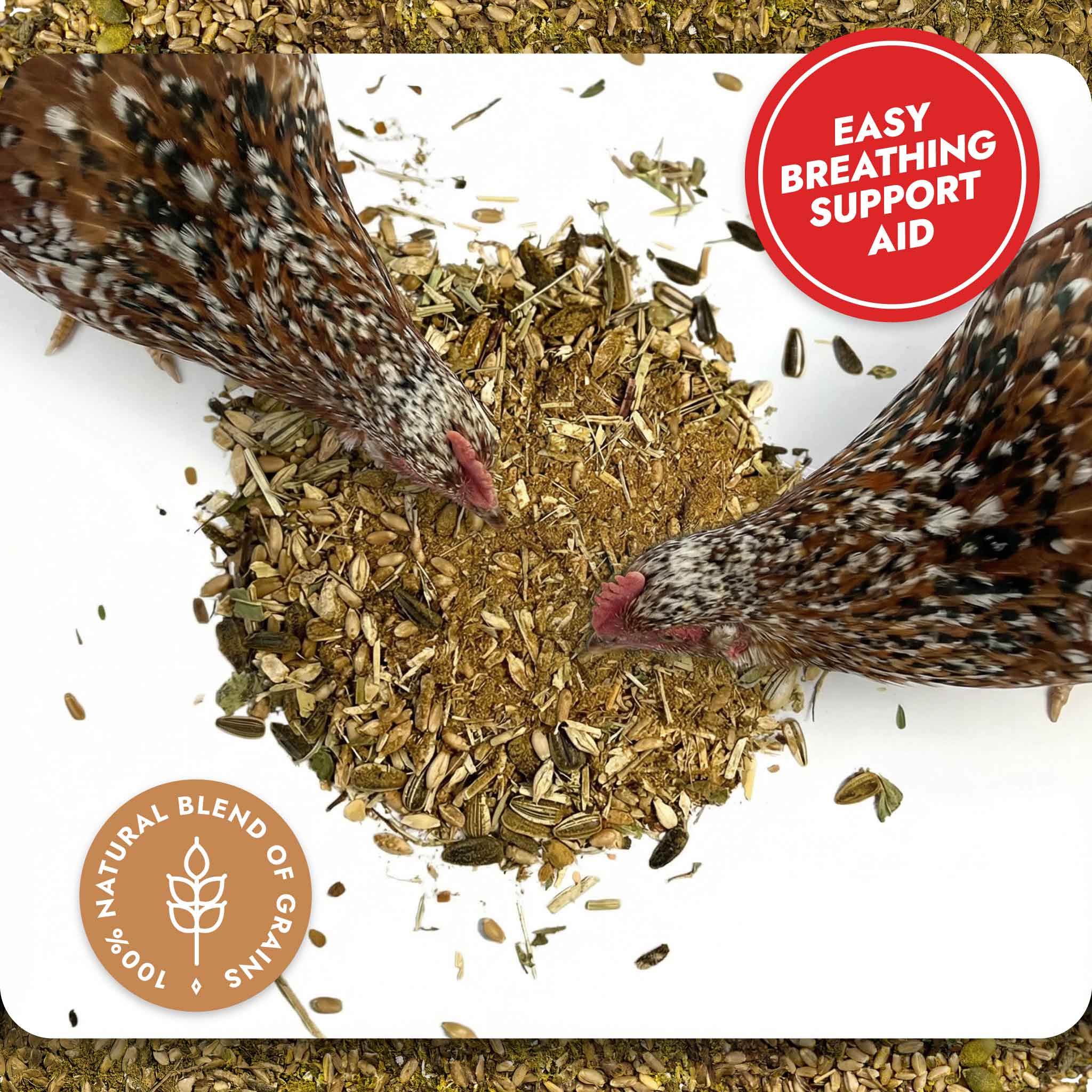 Respiratory Relief - Spice Blend - Image 10
