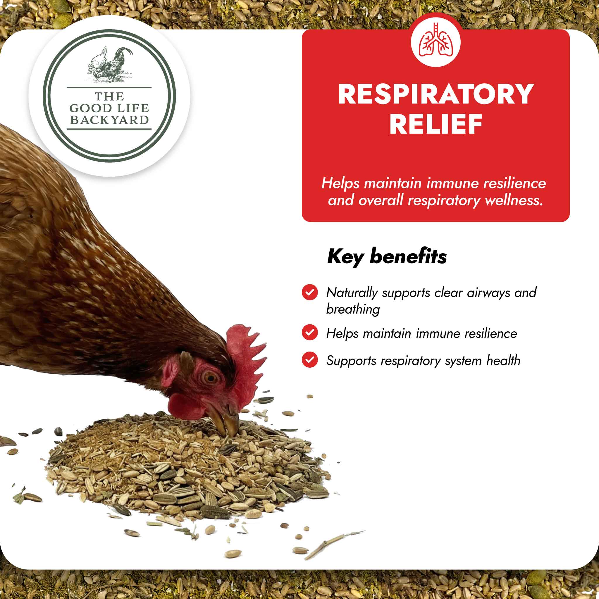 Respiratory Relief - Spice Blend - Image 5