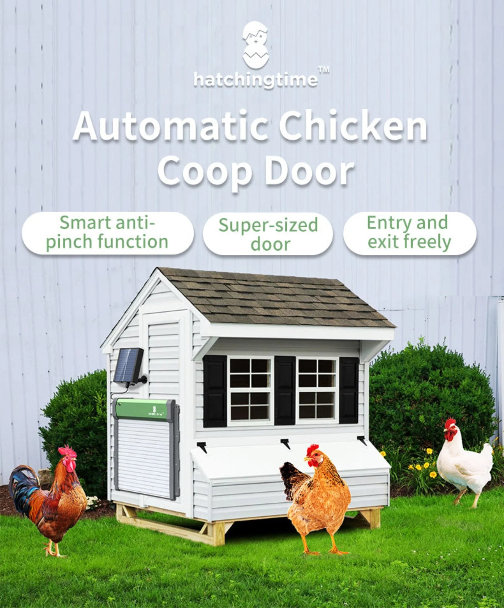 Sungate Solar Powered Automatic Chicken Coop Door with Remote - Image 2