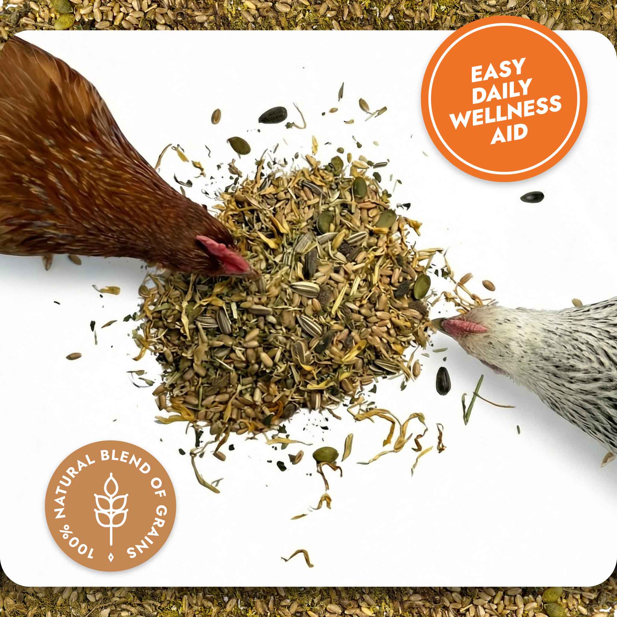 Superfood Strength - General Wellbeing - Image 10