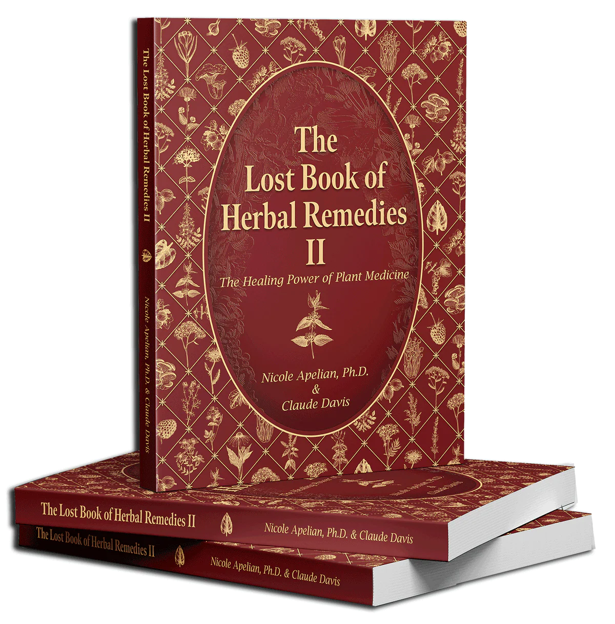 The Lost Book of Herbal Remedies II