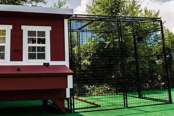Walk-In 8 ft. Chicken Run (6'6"W x 7'6"L x 6'3"H) - Image 3