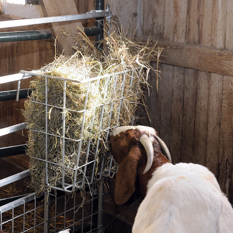 X-Tuff Single Sided Hay Feeder - Image 2