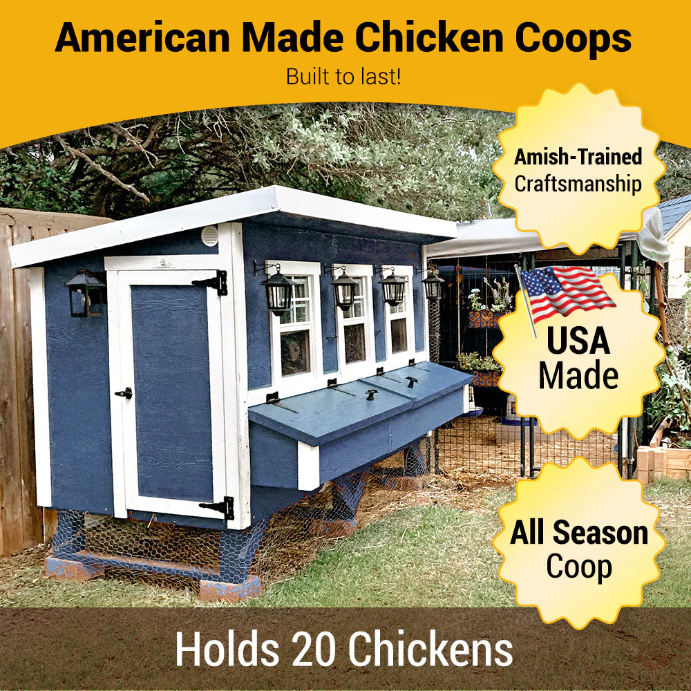 XL Chicken Coop - Up to 20 Chickens - Image 19
